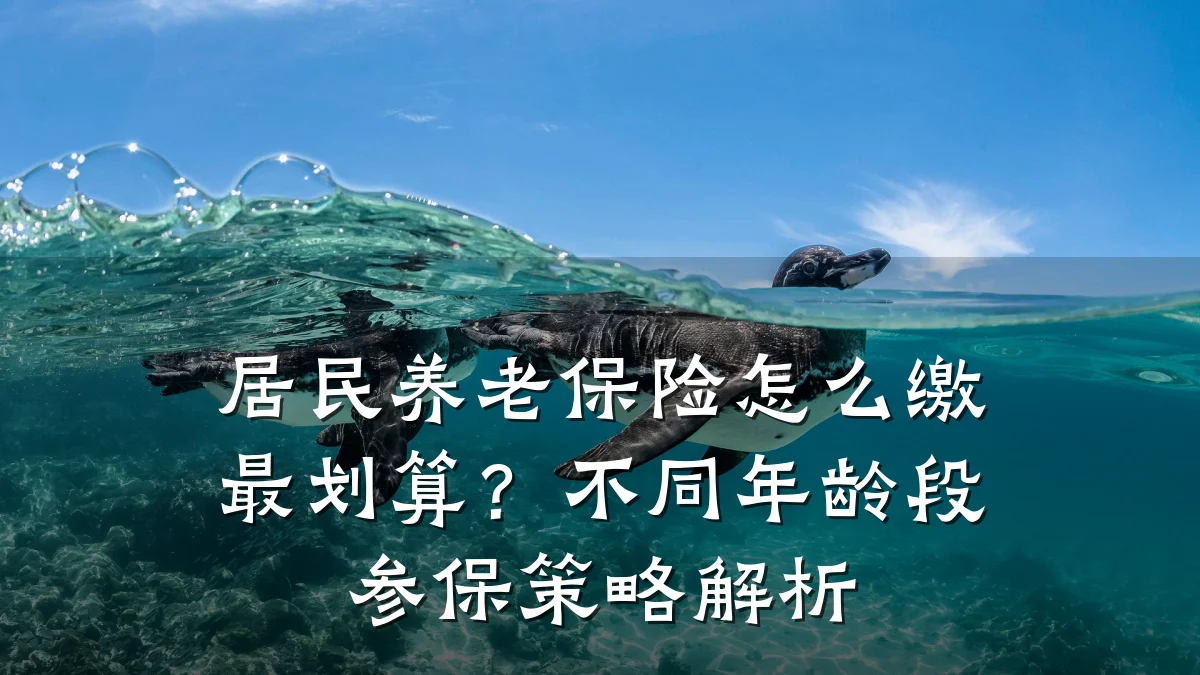 居民养老保险怎么缴最划算?不同年龄段参保策略解析