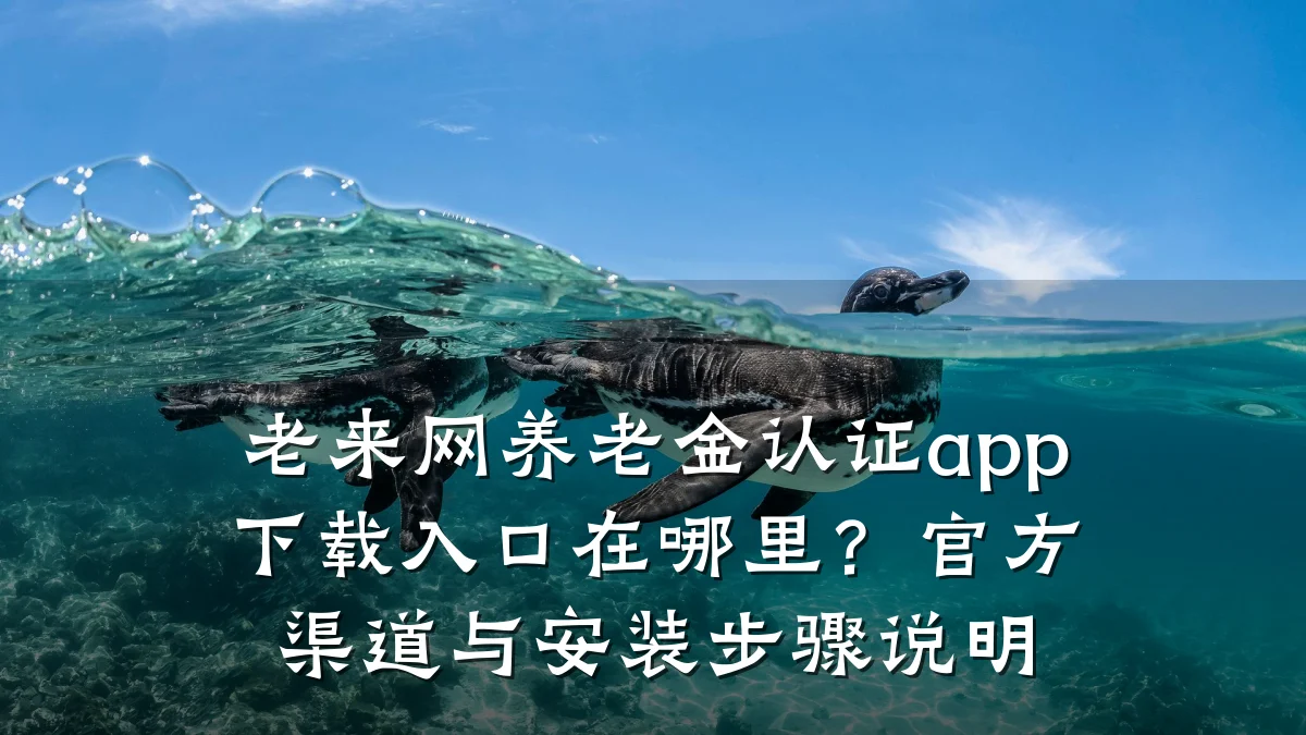 老来网养老金认证app下载入口在哪里?官方渠道与安装步骤说明