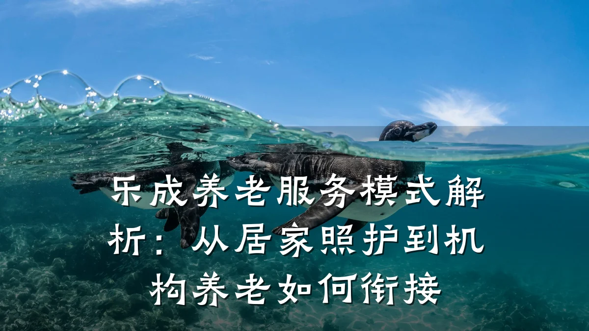 乐成养老服务模式解析:从居家照护到机构养老如何衔接