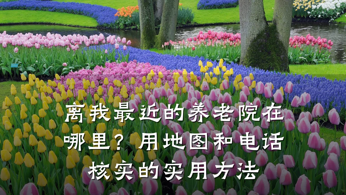 离我最近的养老院在哪里？用地图和电话核实的实用方法