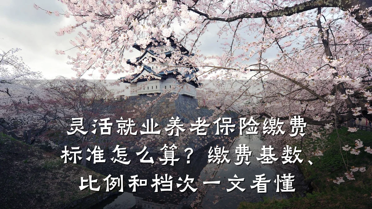 灵活就业养老保险缴费标准怎么算？缴费基数、比例和档次一文看懂