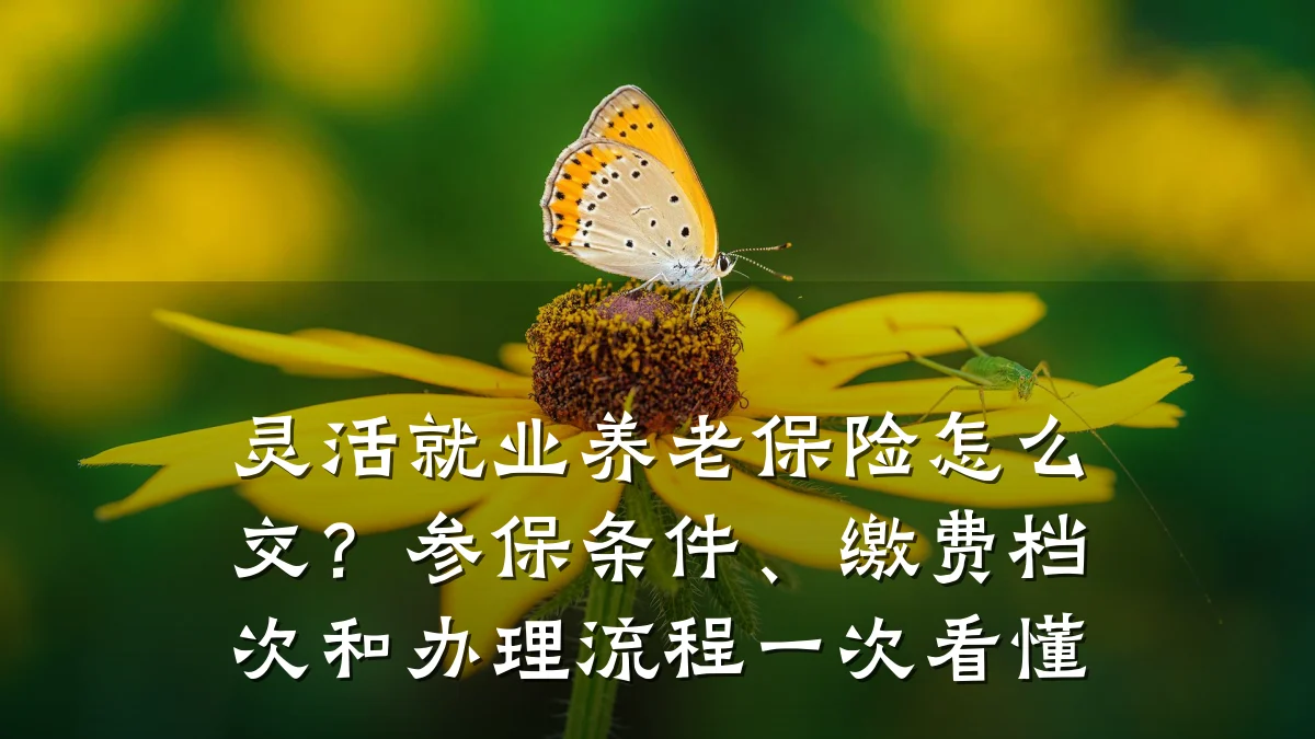 灵活就业养老保险怎么交？参保条件、缴费档次和办理流程一次看懂