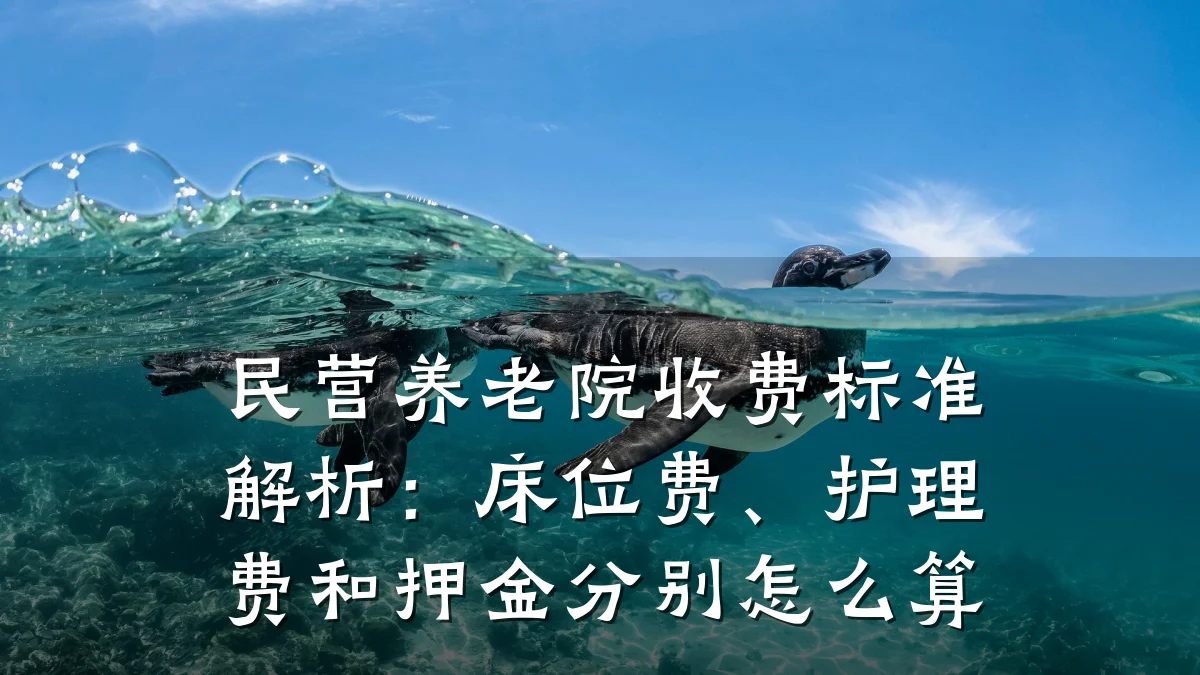 民营养老院收费标准解析:床位费、护理费和押金分别怎么算