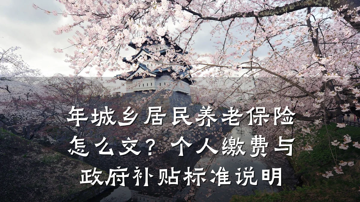 年城乡居民养老保险怎么交?个人缴费与政府补贴标准说明