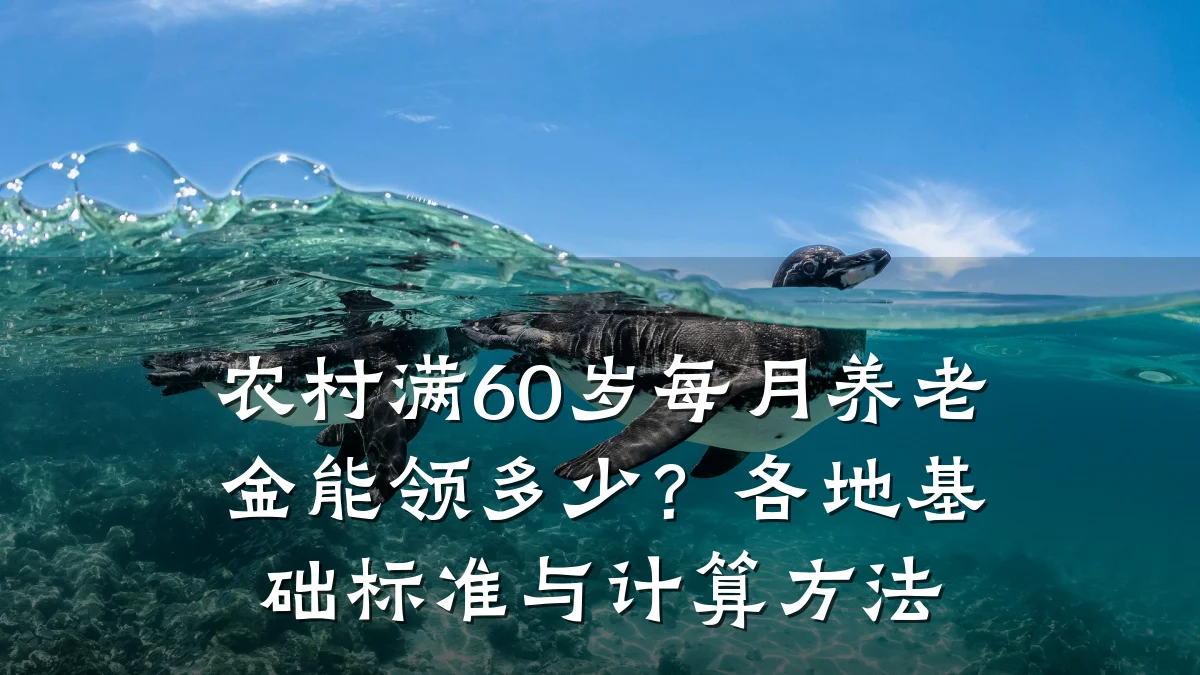 农村满60岁每月养老金能领多少?各地基础标准与计算方法