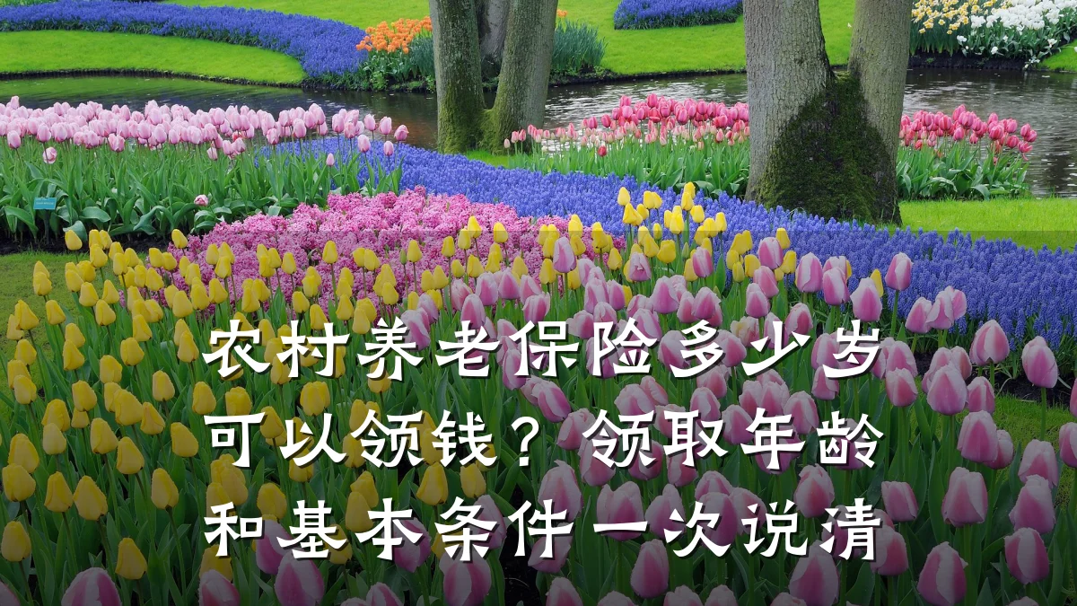 农村养老保险多少岁可以领钱?领取年龄和基本条件一次说清
