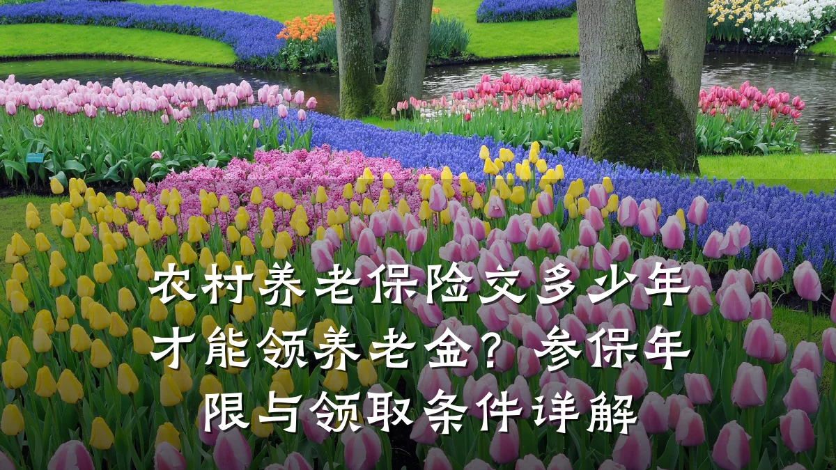 农村养老保险交多少年才能领养老金？参保年限与领取条件详解