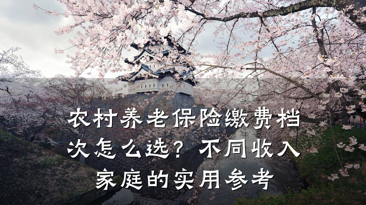 农村养老保险缴费档次怎么选?不同收入家庭的实用参考