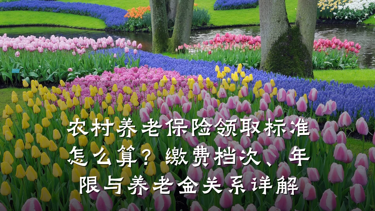 农村养老保险领取标准怎么算？缴费档次、年限与养老金关系详解