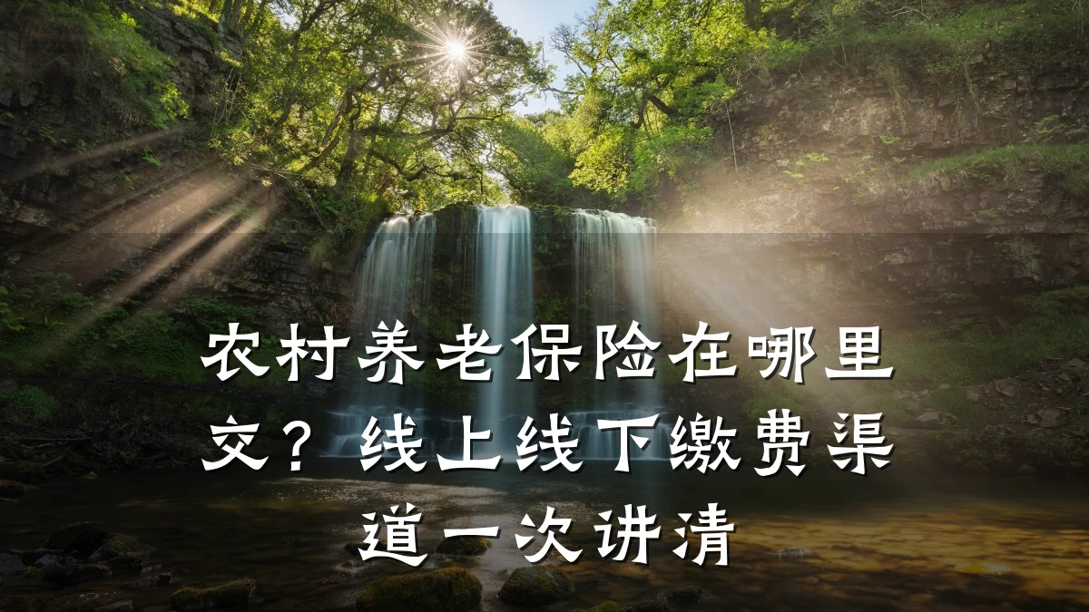 农村养老保险在哪里交？线上线下缴费渠道一次讲清