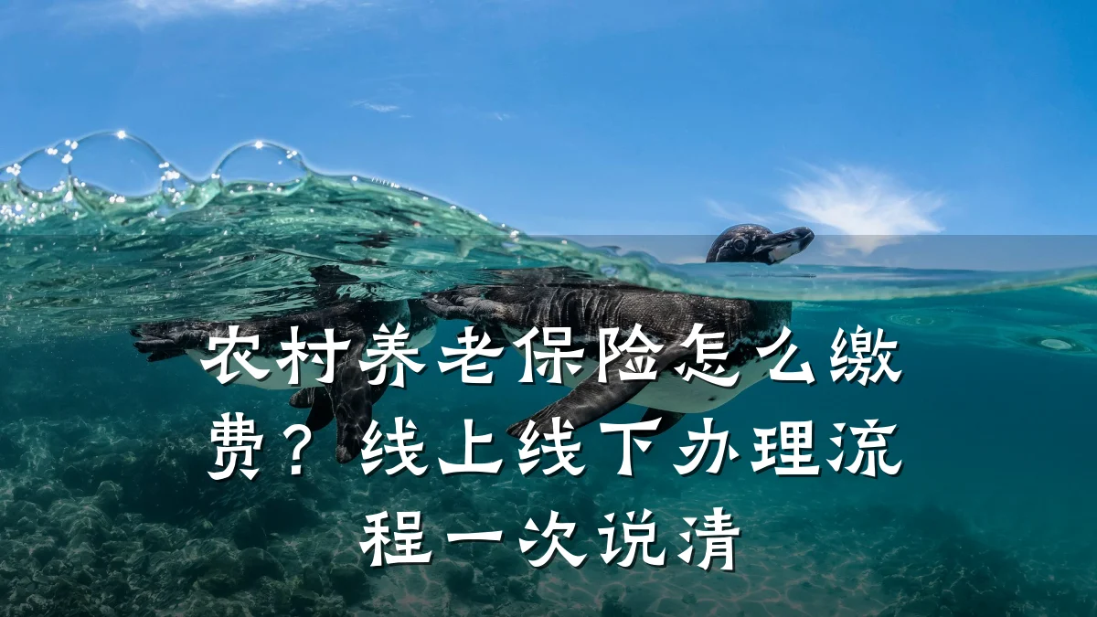 农村养老保险怎么缴费?线上线下办理流程一次说清
