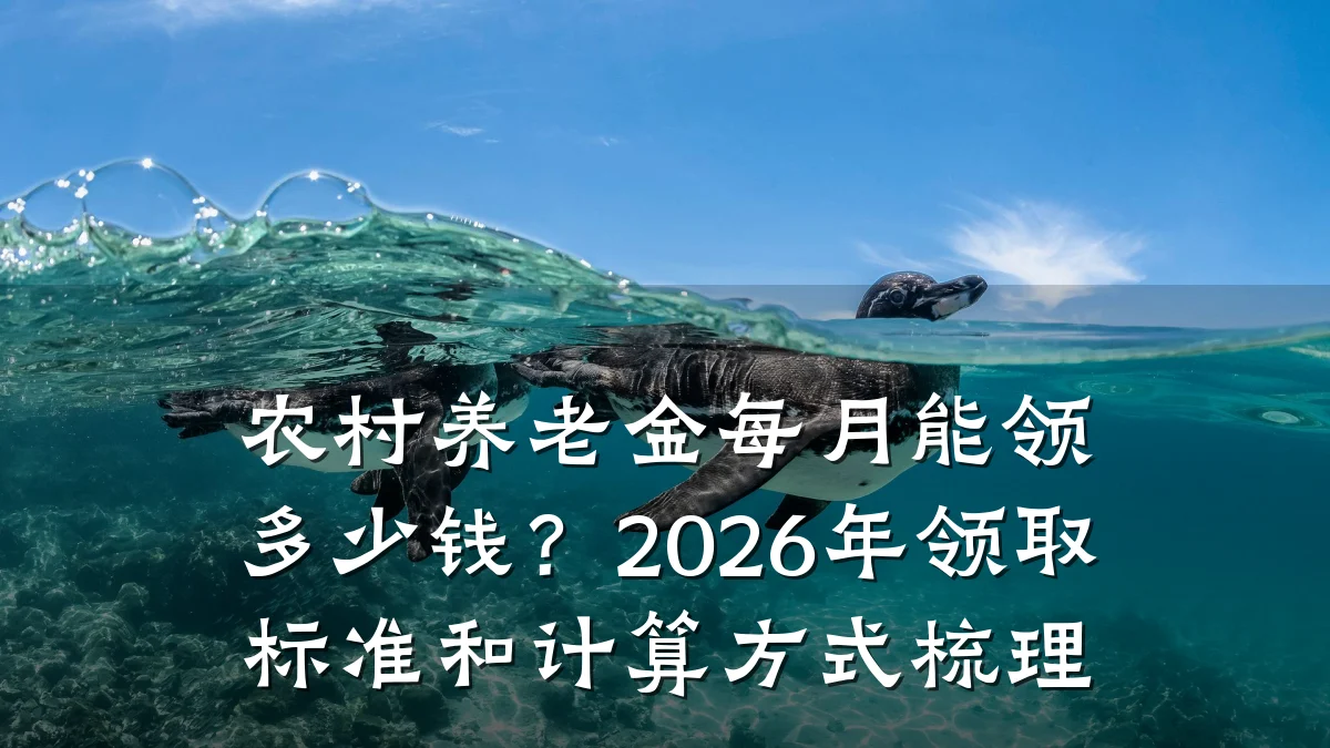 农村养老金每月能领多少钱?2026年领取标准和计算方式梳理
