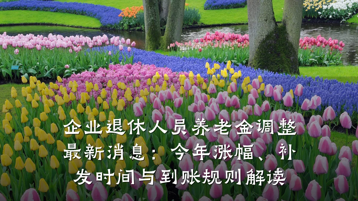 企业退休人员养老金调整最新消息：今年涨幅、补发时间与到账规则解读