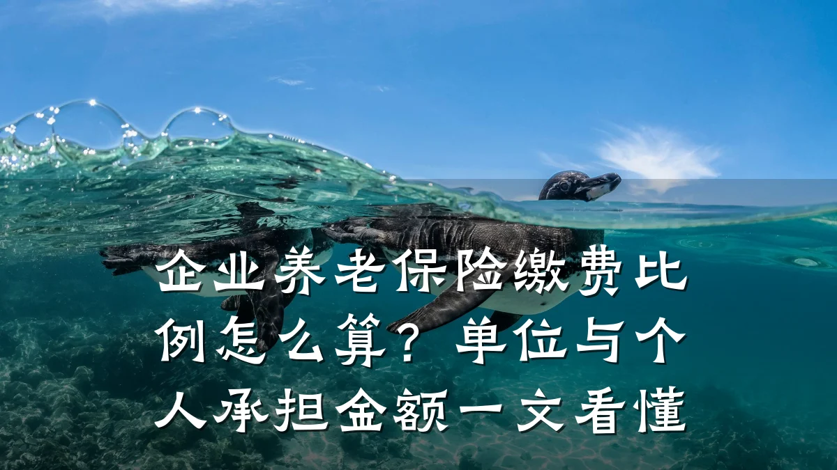 企业养老保险缴费比例怎么算?单位与个人承担金额一文看懂