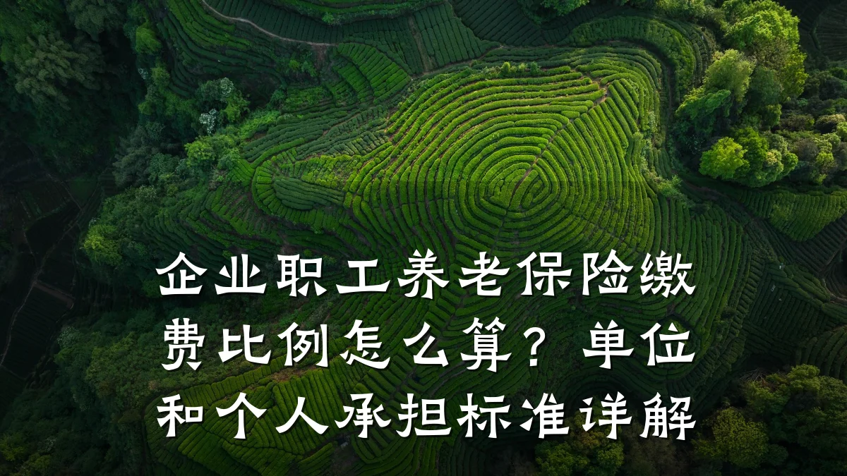 企业职工养老保险缴费比例怎么算?单位和个人承担标准详解