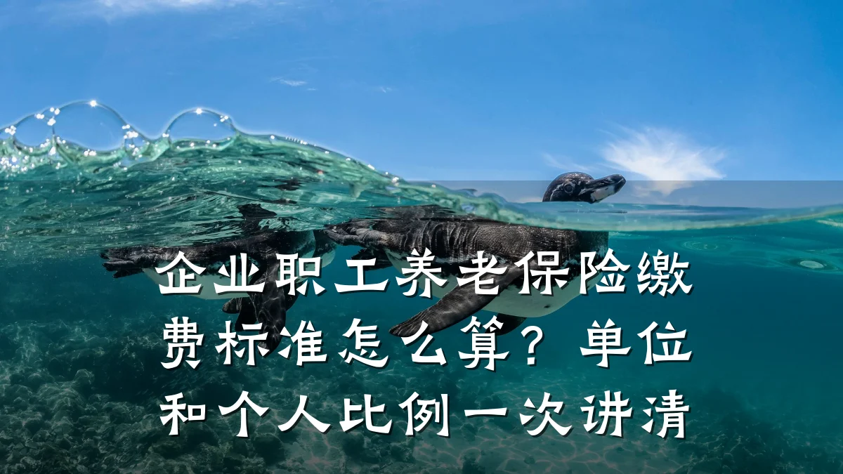 企业职工养老保险缴费标准怎么算?单位和个人比例一次讲清