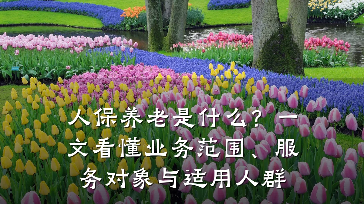人保养老是什么？一文看懂业务范围、服务对象与适用人群