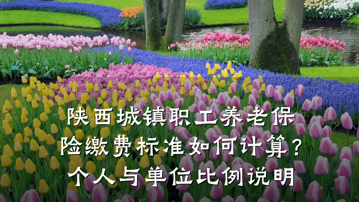 陕西城镇职工养老保险缴费标准如何计算?个人与单位比例说明