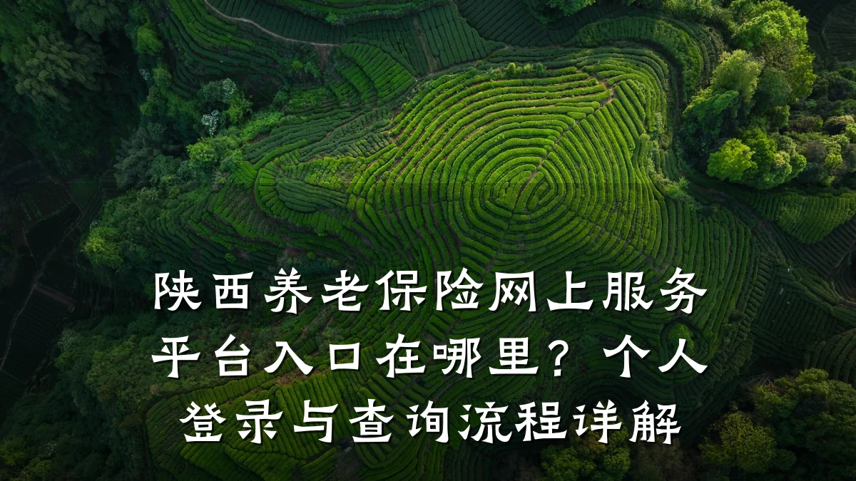 陕西养老保险网上服务平台入口在哪里?个人登录与查询流程详解