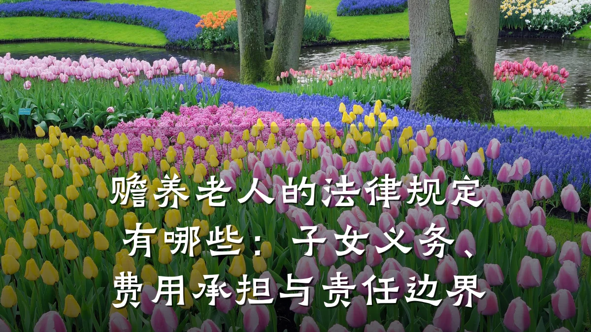赡养老人的法律规定有哪些：子女义务、费用承担与责任边界