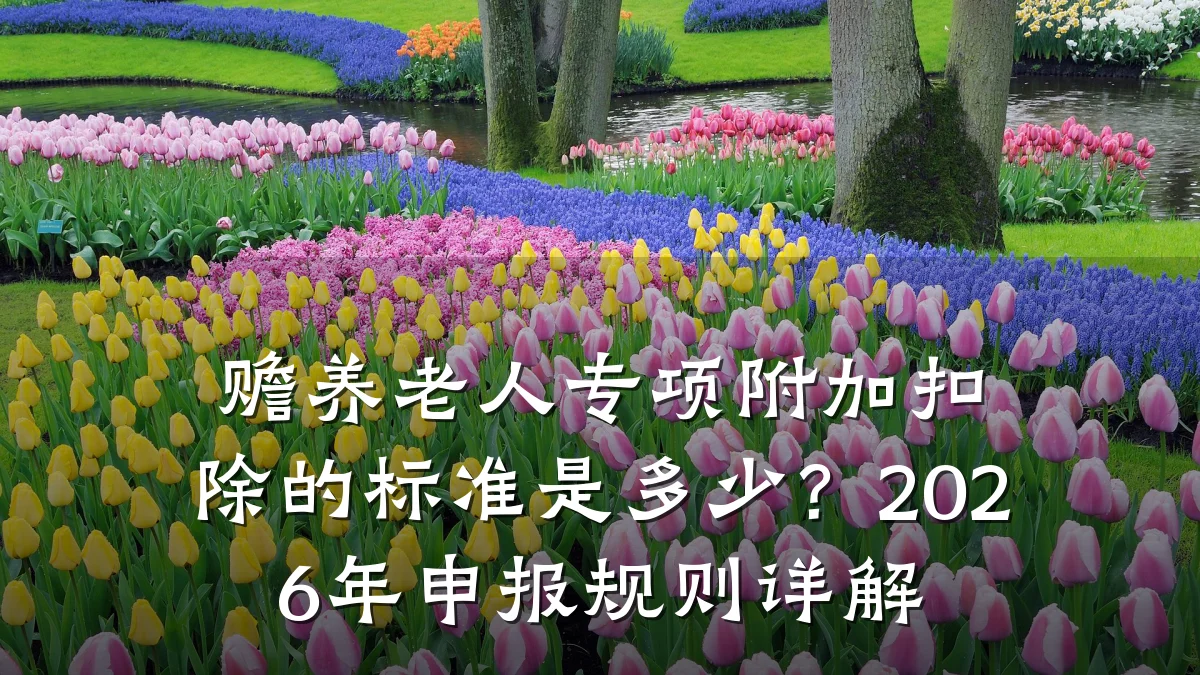 赡养老人专项附加扣除的标准是多少?2026年申报规则详解