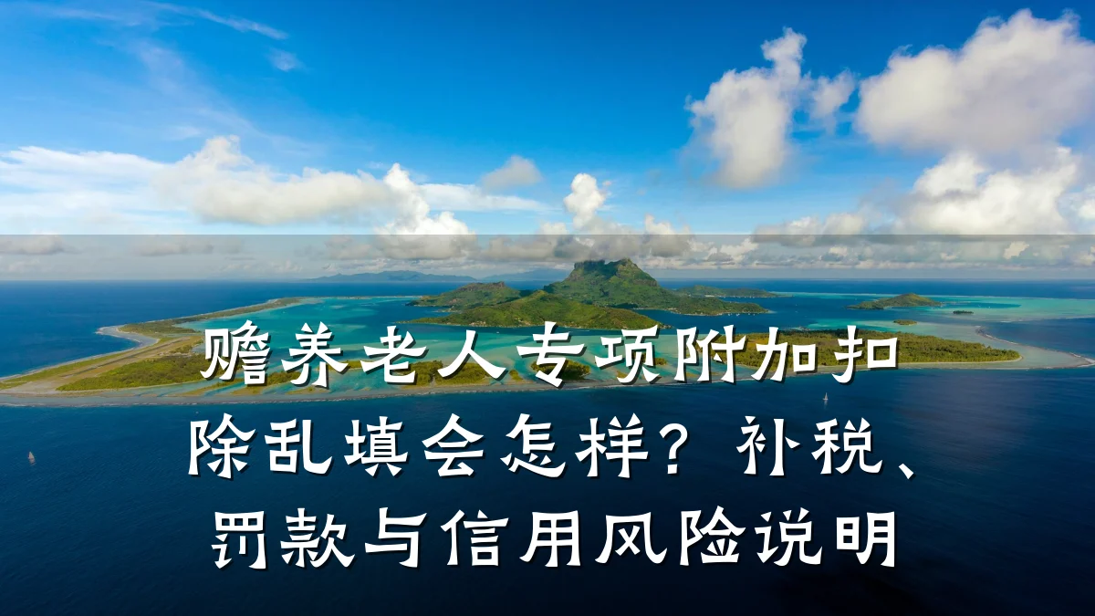 赡养老人专项附加扣除乱填会怎样?补税、罚款与信用风险说明