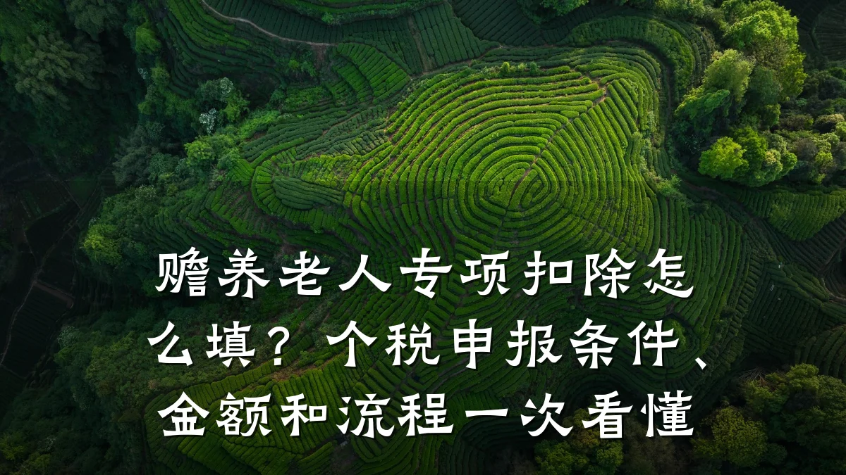 赡养老人专项扣除怎么填?个税申报条件、金额和流程一次看懂