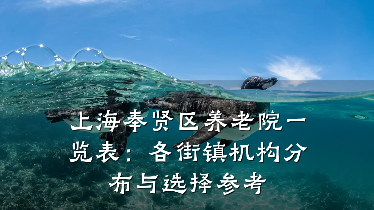 上海奉贤区养老院一览表:各街镇机构分布与选择参考