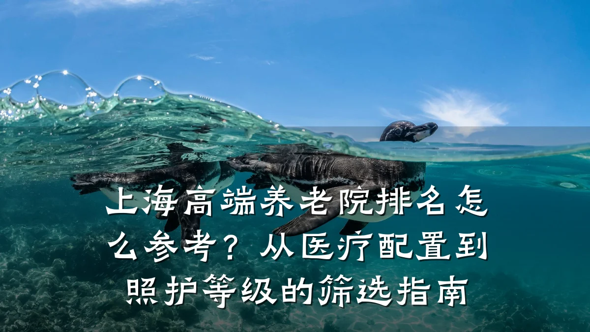 上海高端养老院排名怎么参考?从医疗配置到照护等级的筛选指南
