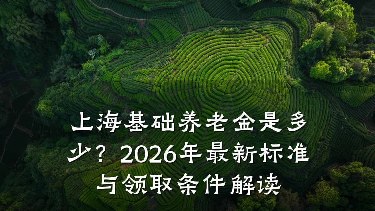 上海基础养老金是多少？2026年最新标准与领取条件解读
