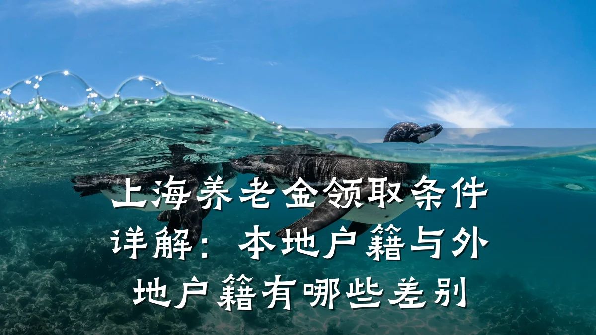 上海养老金领取条件详解：本地户籍与外地户籍有哪些差别