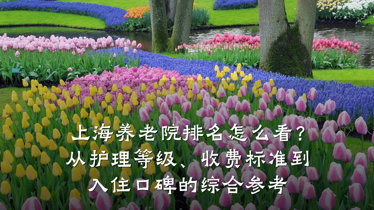 上海养老院排名怎么看?从护理等级、收费标准到入住口碑的综合参考