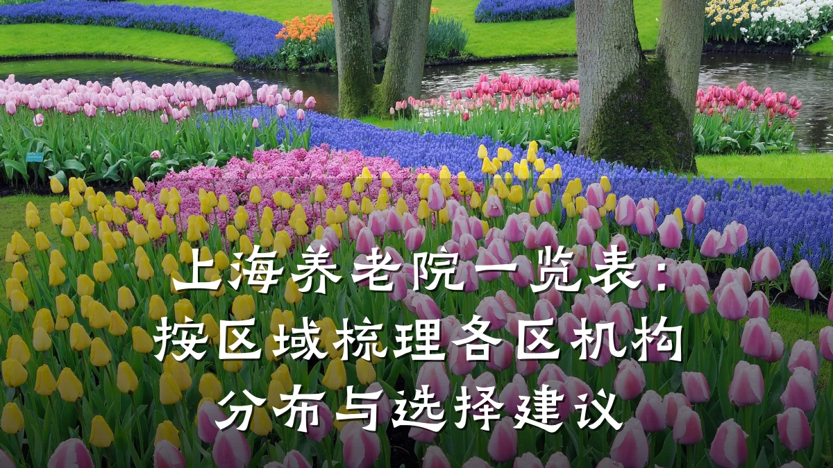 上海养老院一览表：按区域梳理各区机构分布与选择建议
