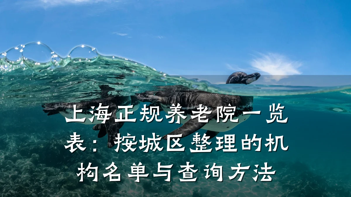 上海正规养老院一览表：按城区整理的机构名单与查询方法