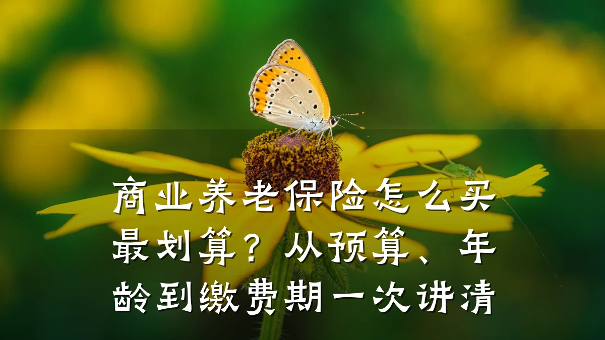 商业养老保险怎么买最划算?从预算、年龄到缴费期一次讲清