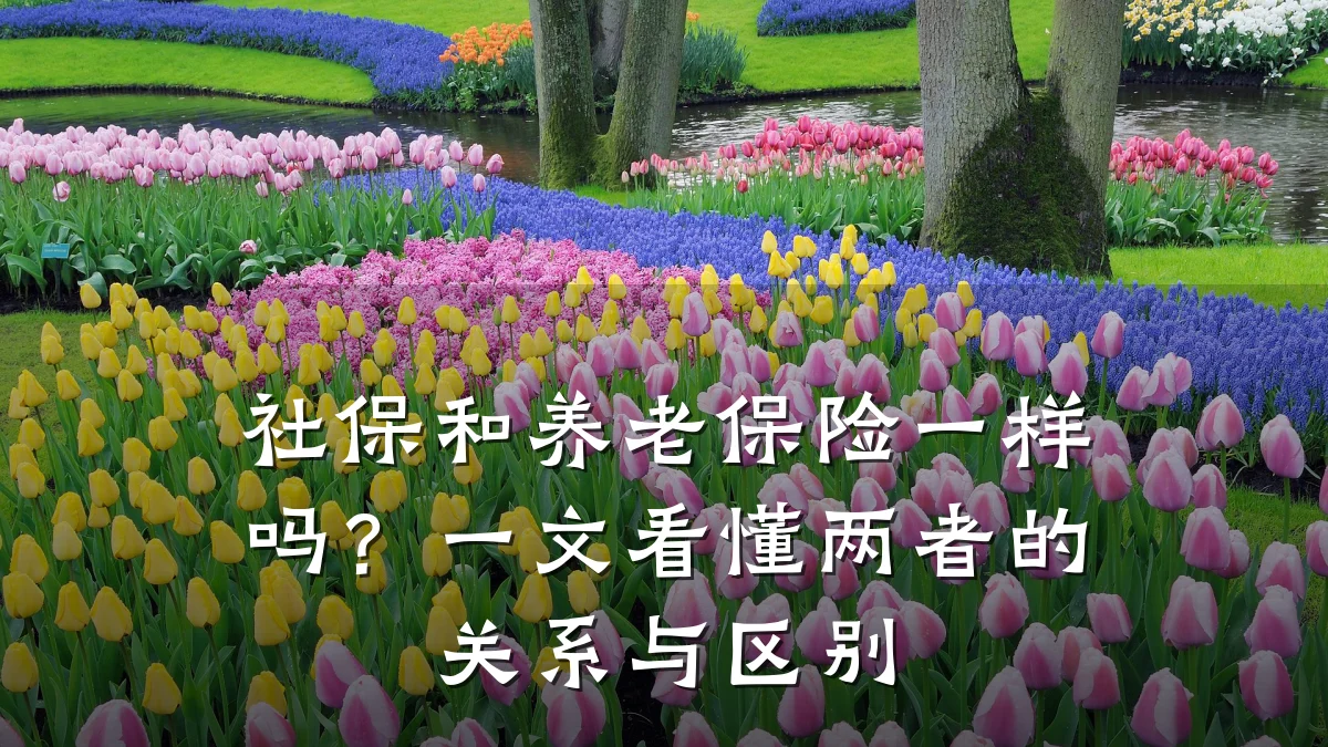 社保和养老保险一样吗?一文看懂两者的关系与区别