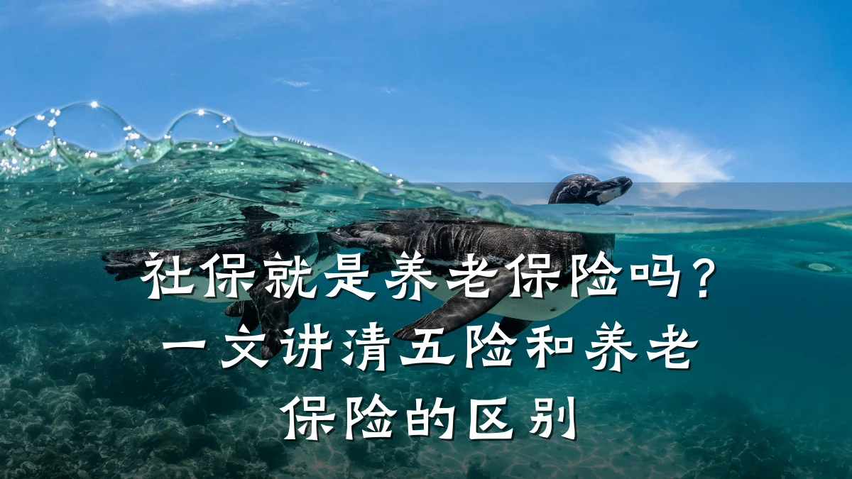 社保就是养老保险吗？一文讲清五险和养老保险的区别