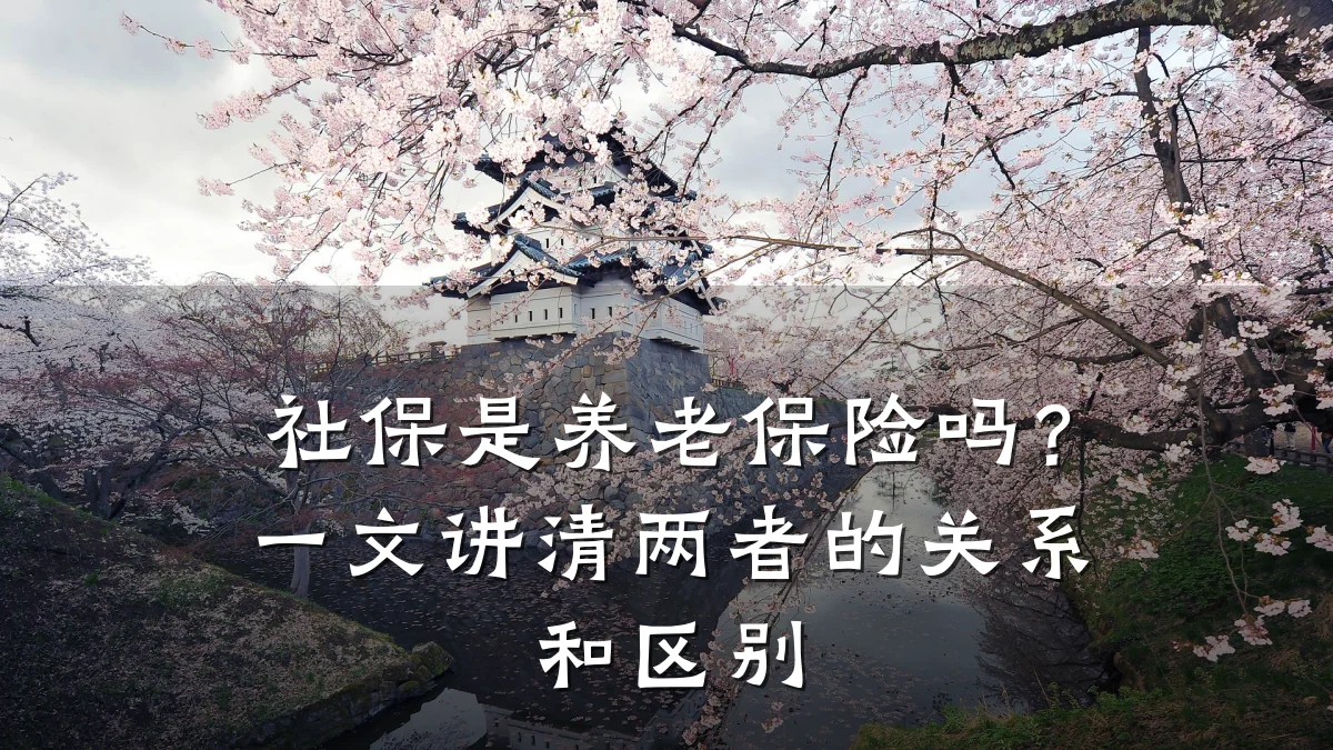 社保是养老保险吗?一文讲清两者的关系和区别
