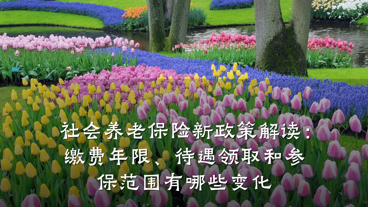 社会养老保险新政策解读:缴费年限、待遇领取和参保范围有哪些变化