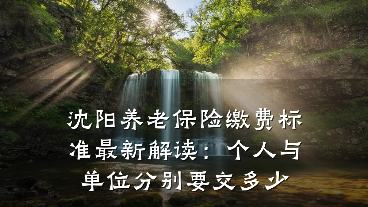 沈阳养老保险缴费标准最新解读:个人与单位分别要交多少