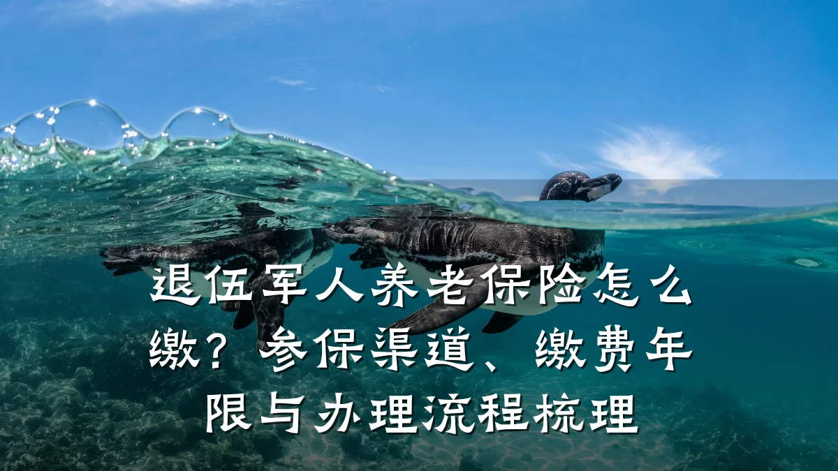 退伍军人养老保险怎么缴?参保渠道、缴费年限与办理流程梳理