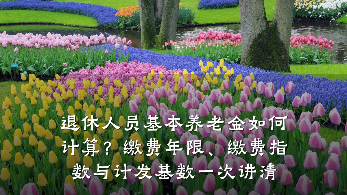 退休人员基本养老金如何计算？缴费年限、缴费指数与计发基数一次讲清