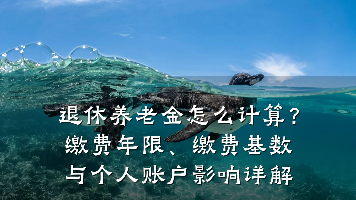退休养老金怎么计算?缴费年限、缴费基数与个人账户影响详解