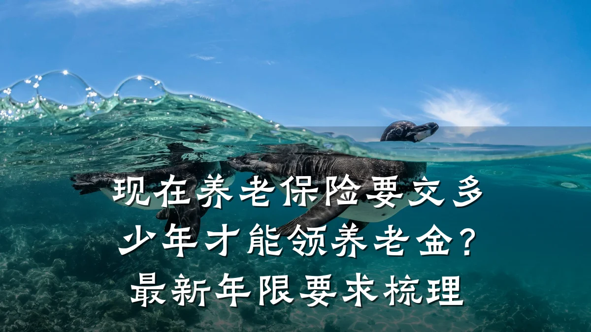 现在养老保险要交多少年才能领养老金?最新年限要求梳理