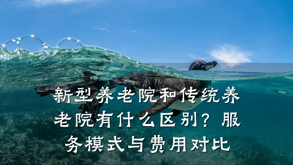 新型养老院和传统养老院有什么区别?服务模式与费用对比
