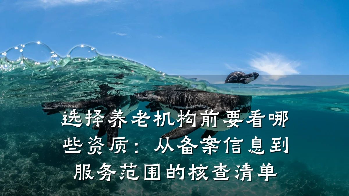 选择养老机构前要看哪些资质:从备案信息到服务范围的核查清单