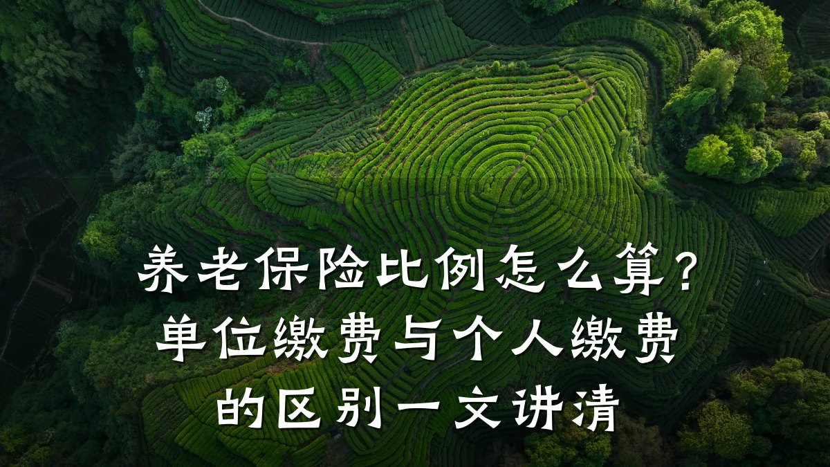 养老保险比例怎么算?单位缴费与个人缴费的区别一文讲清