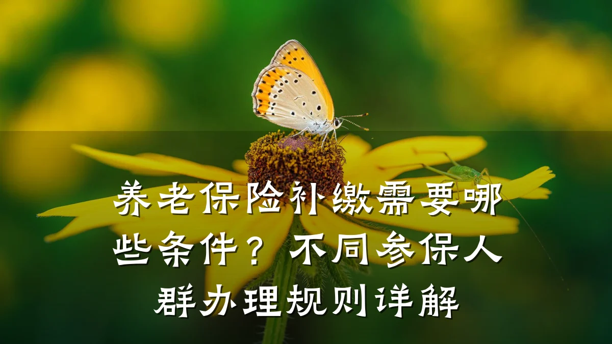 养老保险补缴需要哪些条件?不同参保人群办理规则详解