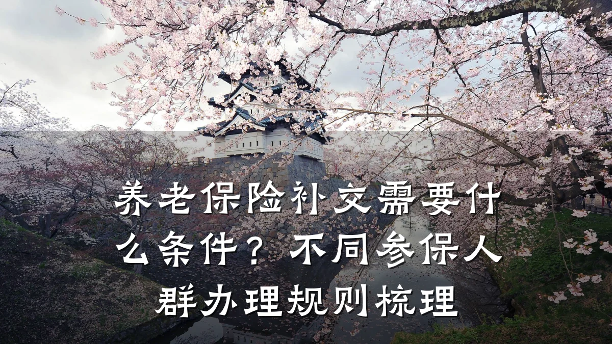 养老保险补交需要什么条件?不同参保人群办理规则梳理