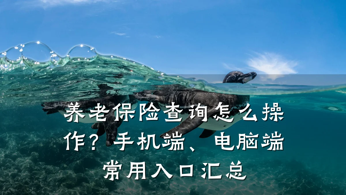 养老保险查询怎么操作?手机端、电脑端常用入口汇总